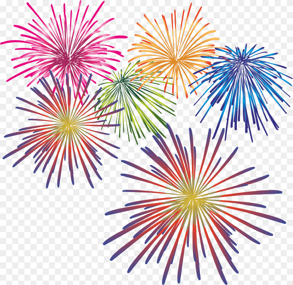 Fireworks Clipart, Plant, Pattern Free Png Download