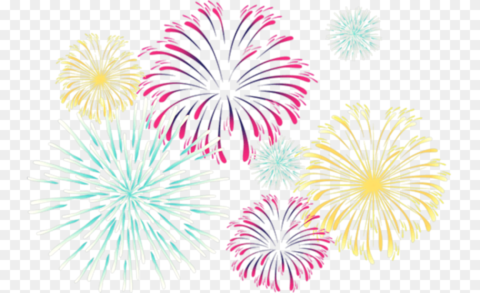 Fireworks Clipart, Plant Free Png Download