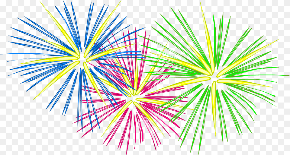 Fireworks Clipart, Plant, Light Png