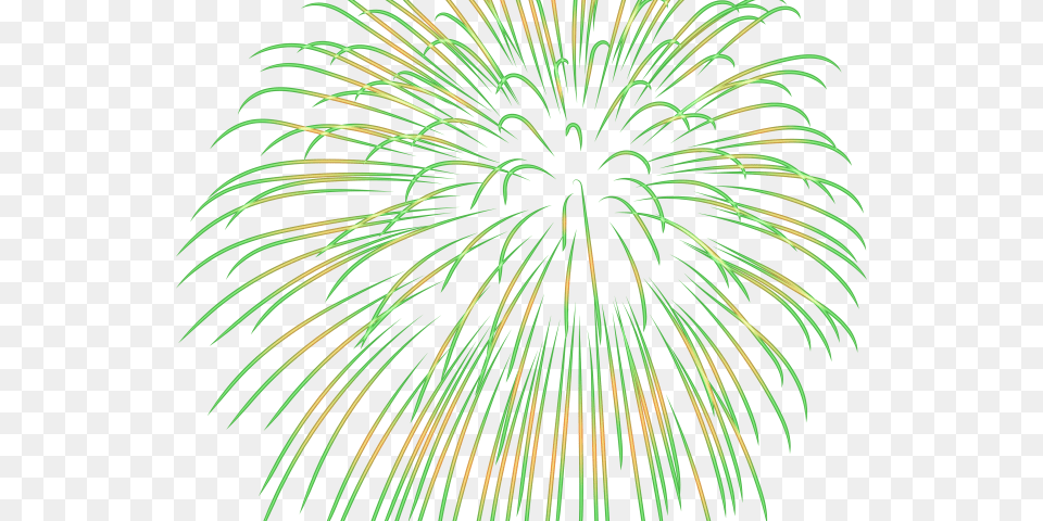 Fireworks Clipart Format Portable Network Graphics, Plant Png Image