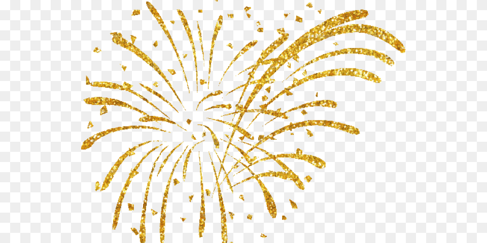 Fireworks Clipart Gold Gold Fireworks, Plant Png