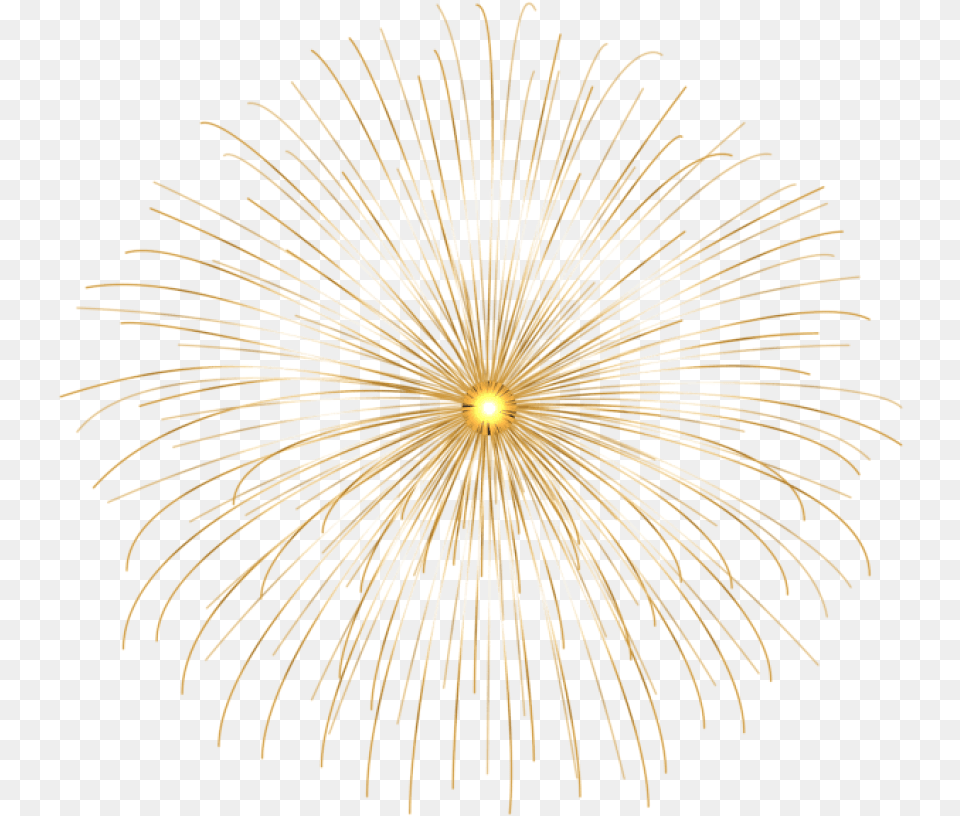 Fireworks Clipart Golden Transparent Fireworks Clipart Gold, Plant Free Png Download