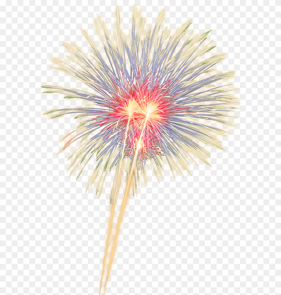 Fireworks Clipart Sparkle Sparkle Fireworks Clip Art, Plant, Flower, Accessories, Ornament Free Png Download