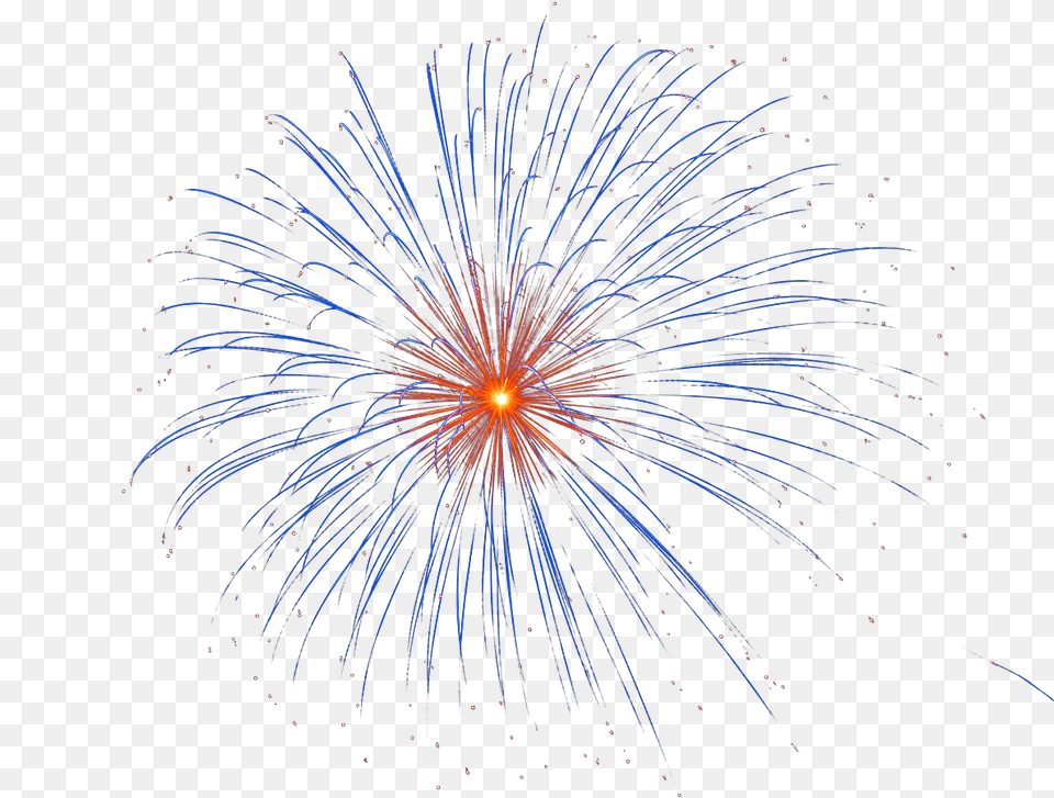 Fireworks Crackers Images Background Fireworks Vector, Plant Free Transparent Png