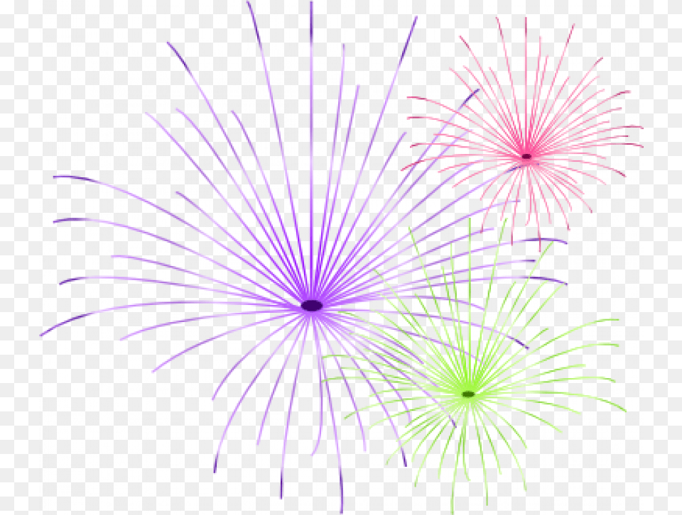 Fireworks Cut Out, Plant, Light Free Png