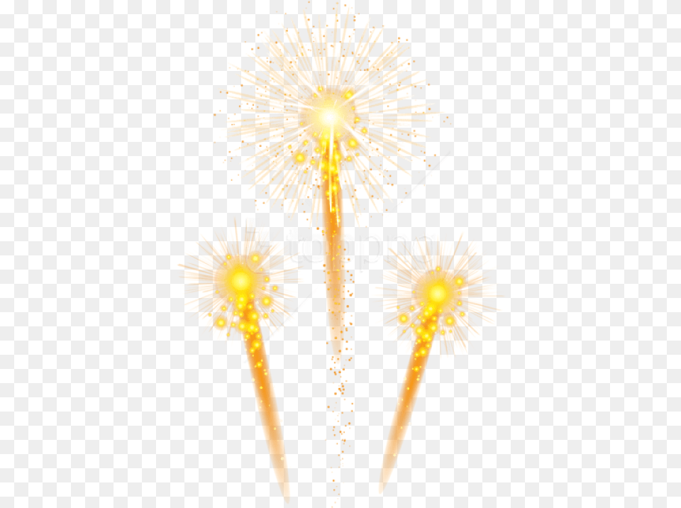 Fireworks Dandelion, Flare, Light, Flower, Plant Free Transparent Png