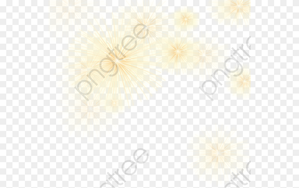 Fireworks Fantasy, Flower, Petal, Plant, Hibiscus Free Png Download