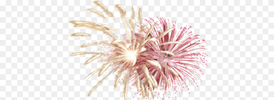 Fireworks Fejerverk Klipart Free Png Download