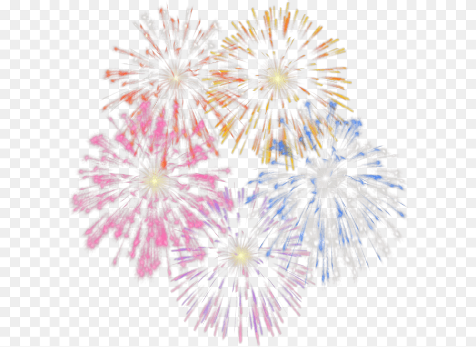 Fireworks Feu Dartifice, Plant Png Image