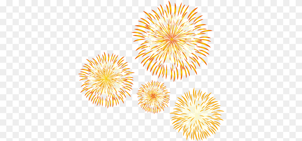 Fireworks Firecracker Fire Crackers In Sky, Plant Png Image