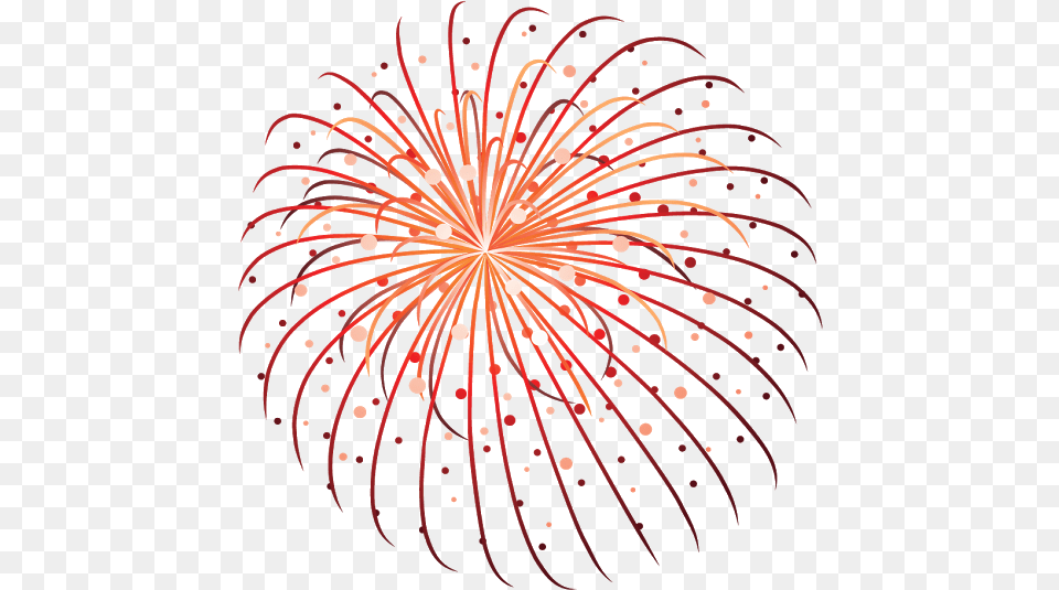 Fireworks Firecracker Independence Day Flower Text For Dot, Plant Free Transparent Png