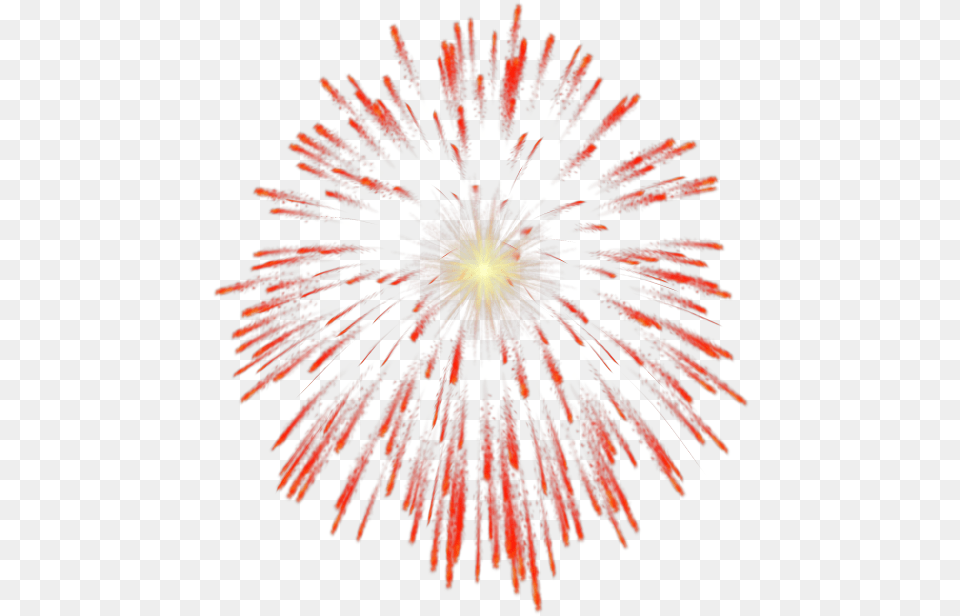 Fireworks Firework Chinese New Year, Plant Free Transparent Png