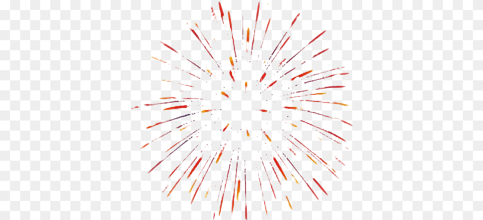 Fireworks Fireworks, Plant Free Transparent Png