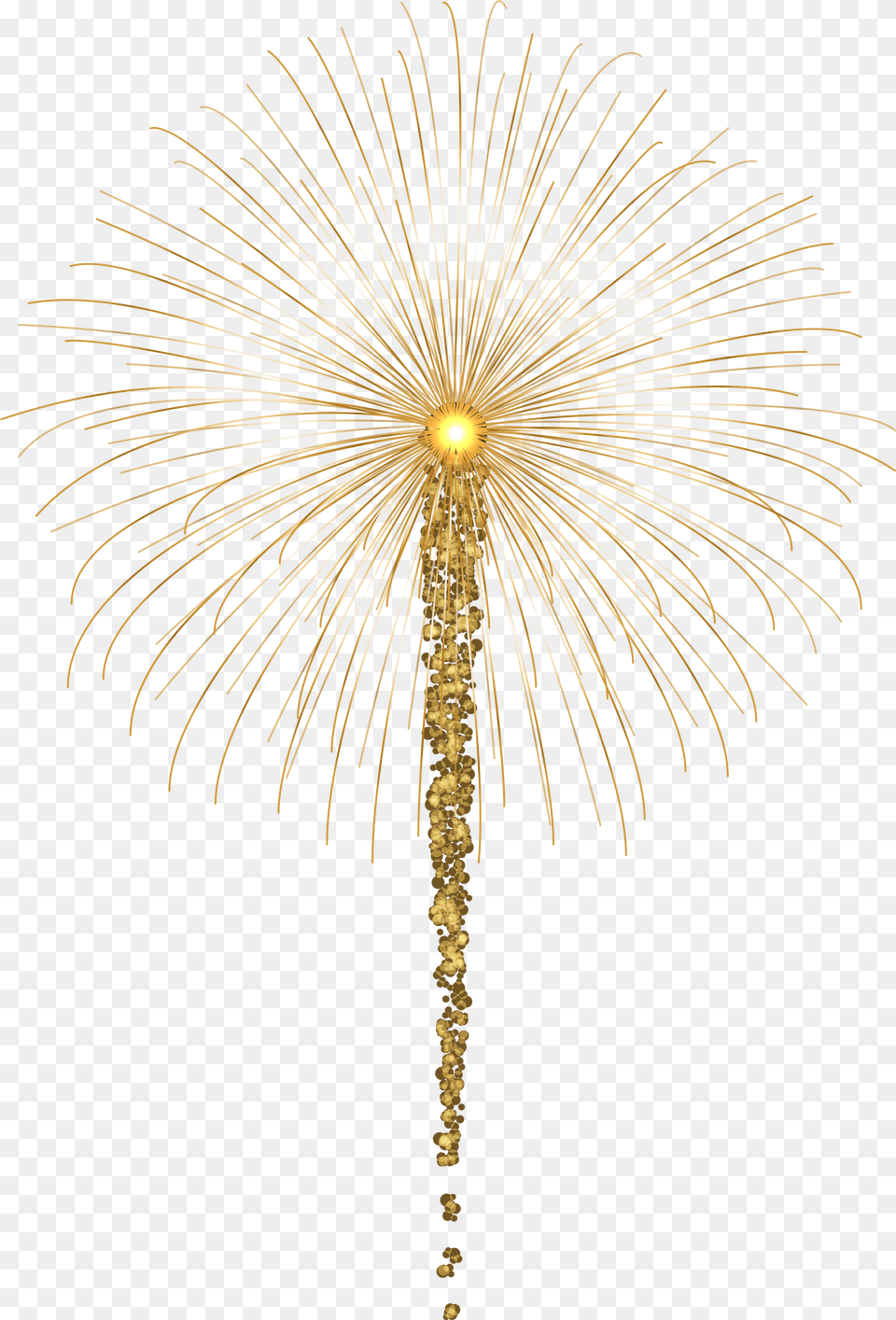 Fireworks For Dark Images Clip Art Transparent Gold Palm Tree Png