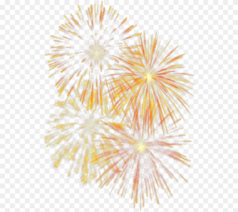 Fireworks Fuegos Artificiales Sin Fondo, Plant Free Transparent Png