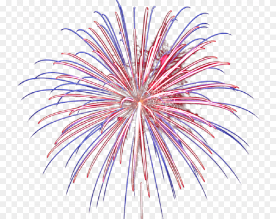 Fireworks Gif Clear Background, Plant Png Image