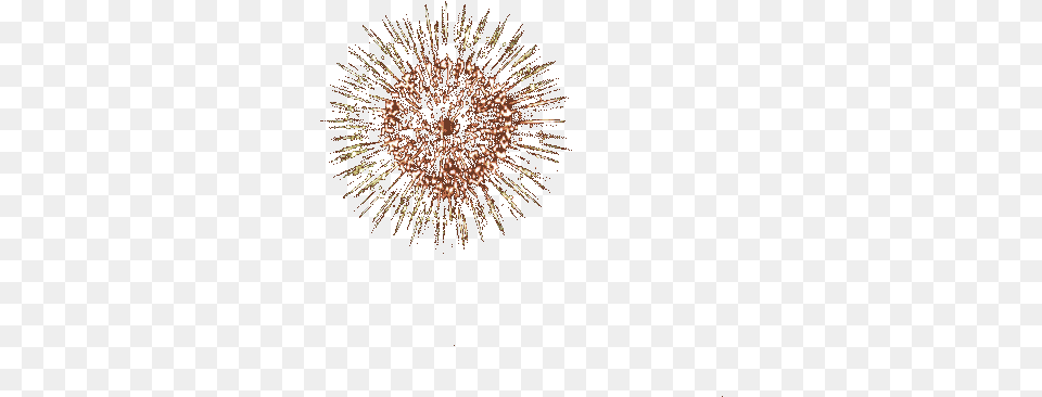 Fireworks Gifs Gif Abyss Fireworks Transparent Background Gif Free Png Download