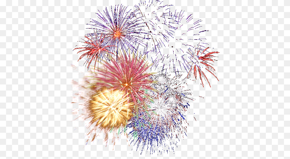Fireworks Happy New Year Paris, Plant Free Transparent Png
