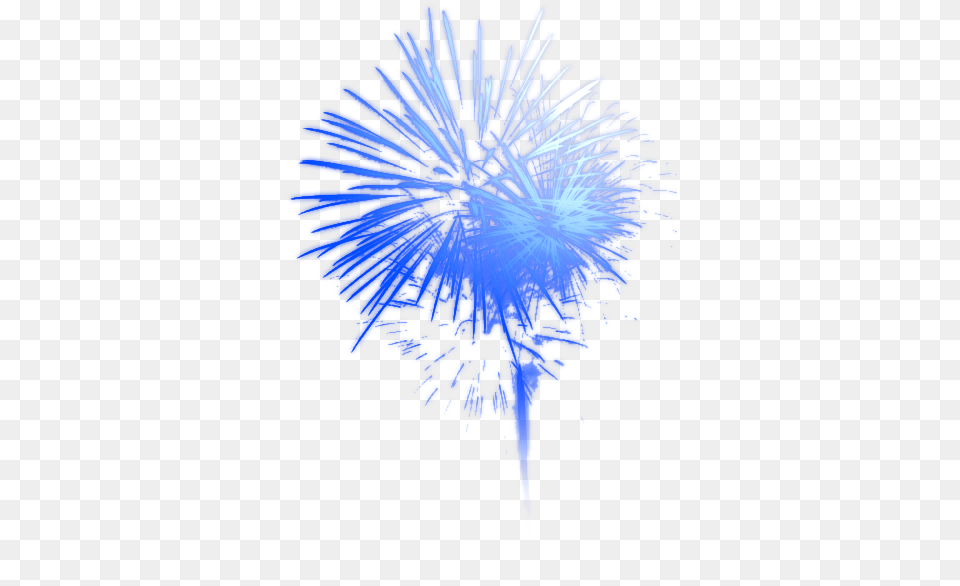 Fireworks High Quality Icons And Transparent Background Blue Firework, Animal, Invertebrate, Sea Anemone, Sea Life Free Png Download