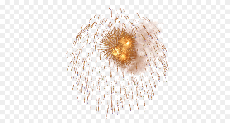 Fireworks Image Collections Best Transparent Background Dandelion, Chandelier, Lamp Free Png Download