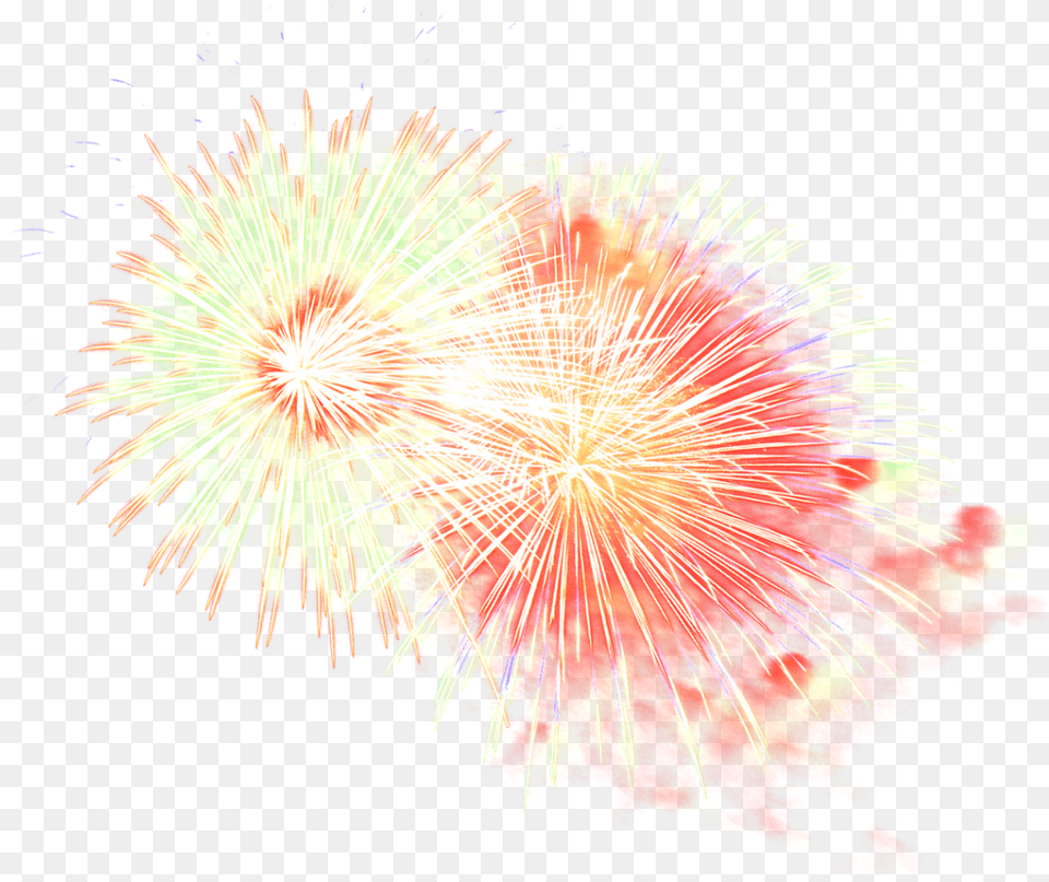 Fireworks Image Purepng Free Transparent Cc0 Fireworks, Plant Png