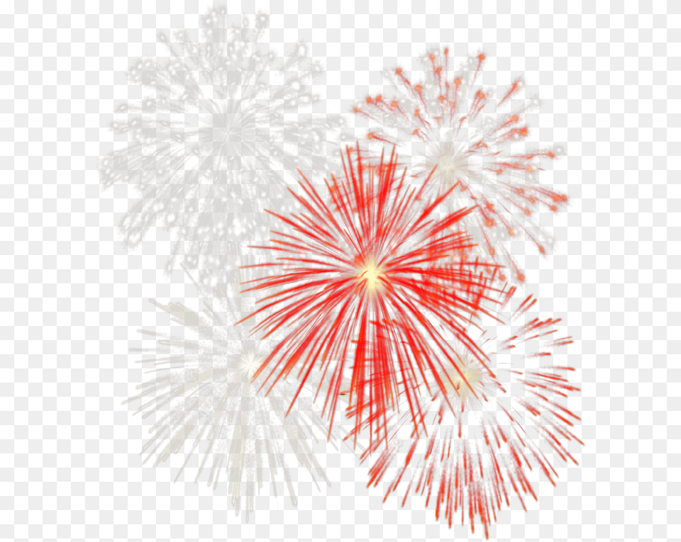 Fireworks Without Background Web Icons Gif De Fuegos Artificiales Sin Fondo, Plant Png Image