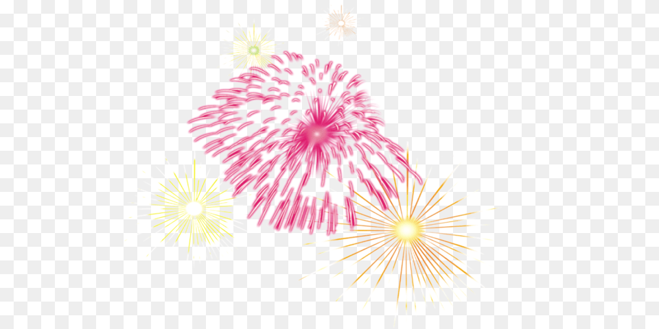 Fireworks Lunar New Year Chinese Fireworks, Flower, Plant Png