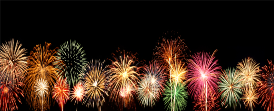 Fireworks Myrtle Beach, Plant Free Transparent Png