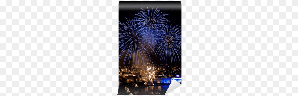 Fireworks On Quotthe Light Celebration Fireworks Png Image