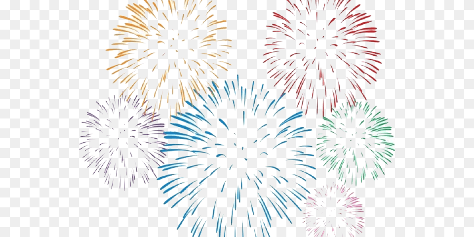 Fireworks On White Background, Plant Free Png Download
