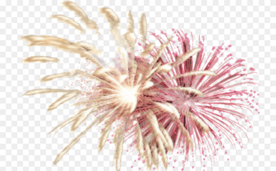 Fireworks Picture Web Icons Clipart Transparent, Animal, Invertebrate, Spider Png