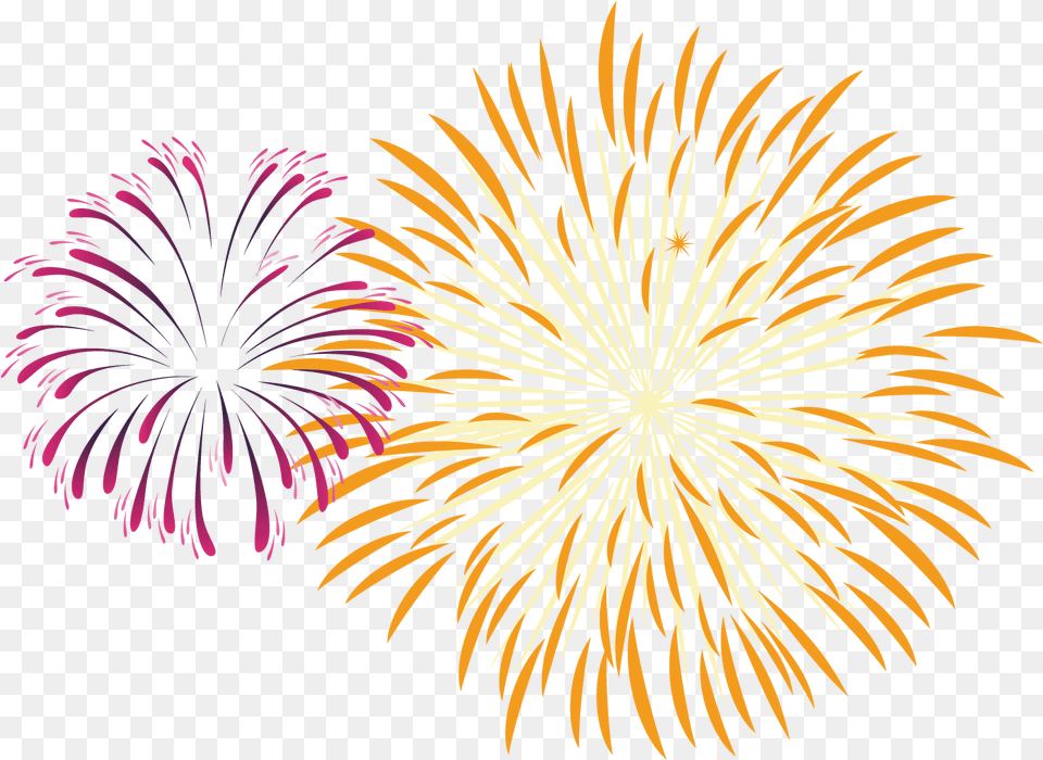 Fireworks Pyrotechnics Celebration Fireworks Vector Fuegos Artificiales, Plant Free Png Download