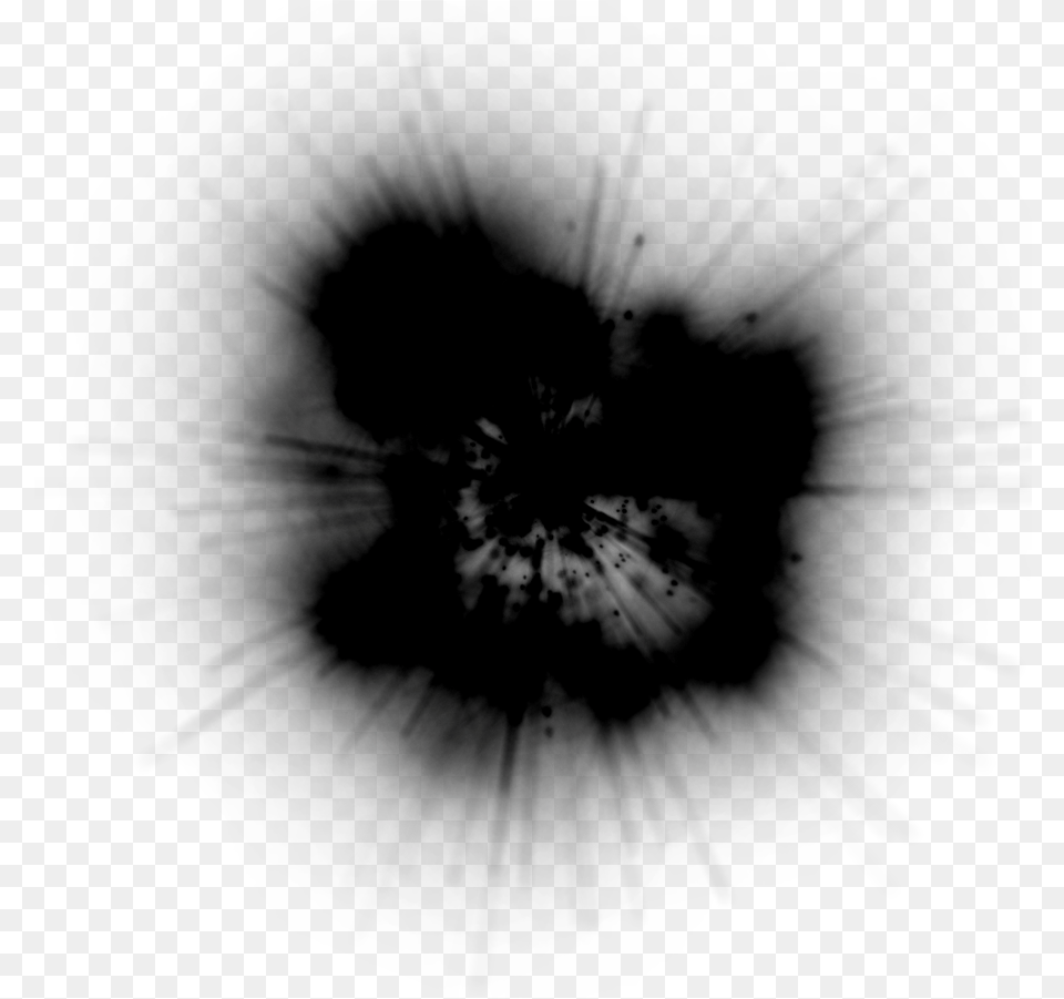 Fireworks Sparks Black And White Black Spark, Pollen, Flare, Light, Plant Free Png