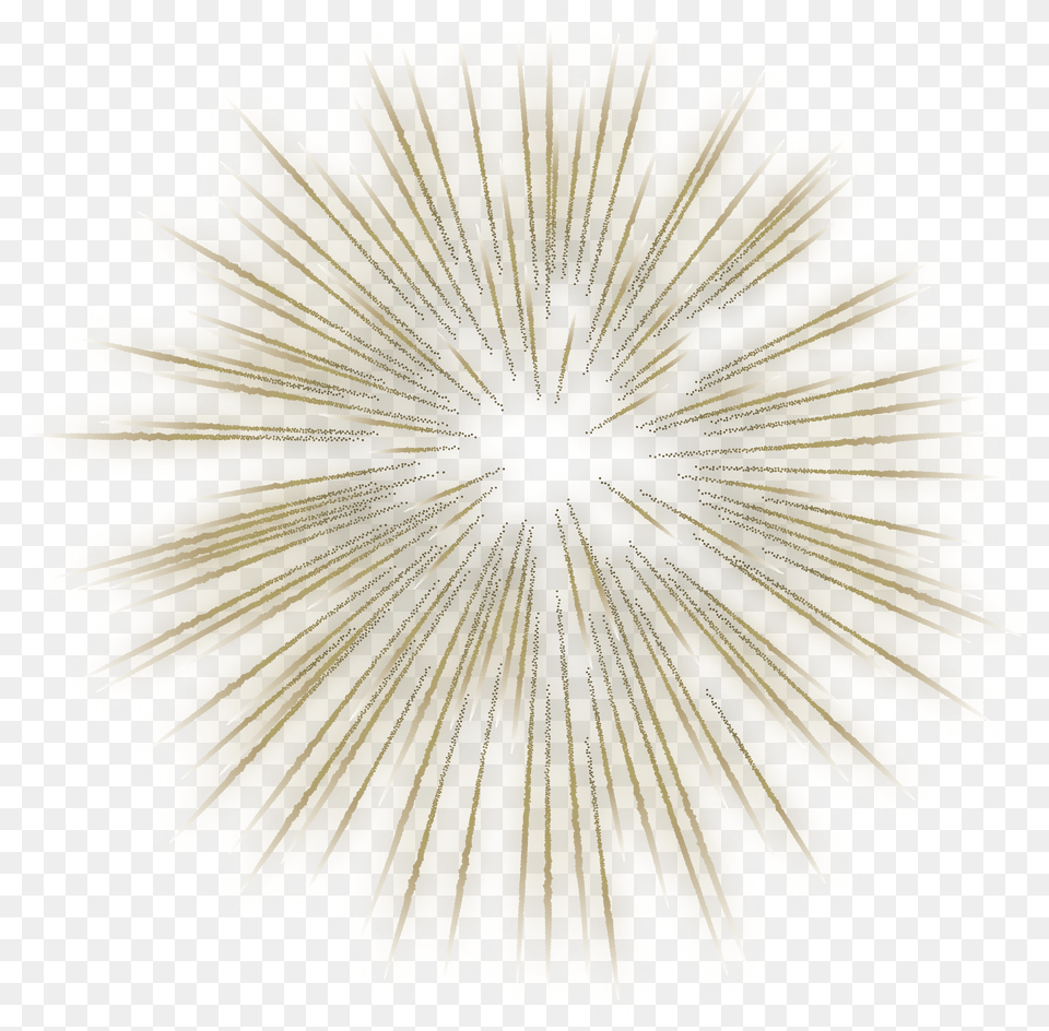 Fireworks Transparent Gold, Adult, Person, Man, Male Free Png