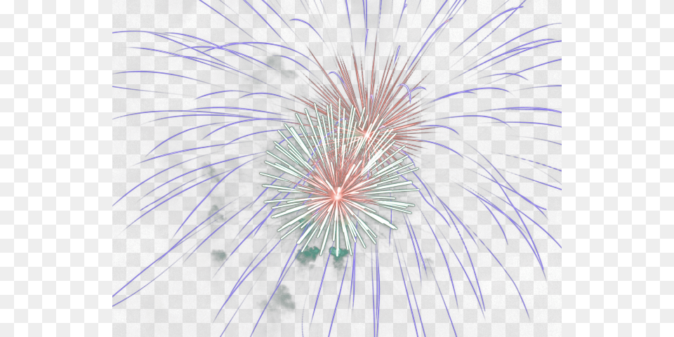 Fireworks Transparent Images, Animal, Cat, Mammal, Pet Free Png Download