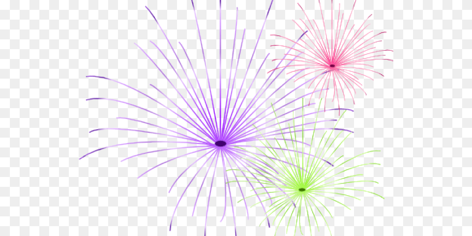 Fireworks Transparent Images Diwali, Plant, Light Png Image