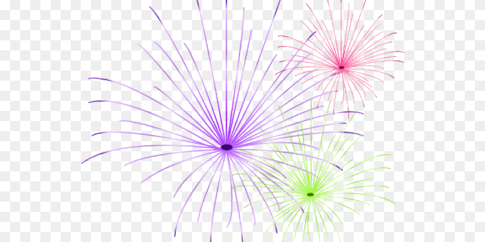 Fireworks Transparent Images New Year Background, Plant, Light Png Image