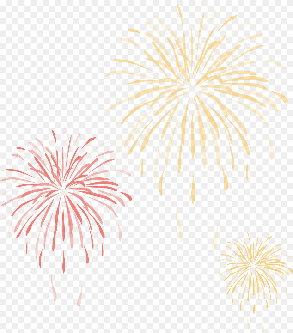 Fireworks Vector Festival, Plant Free Png