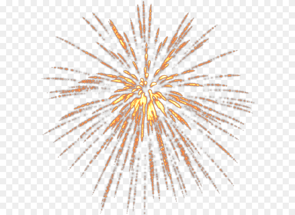 Fireworks Victory Day Clip Art Light Rays Star, Plant Free Transparent Png