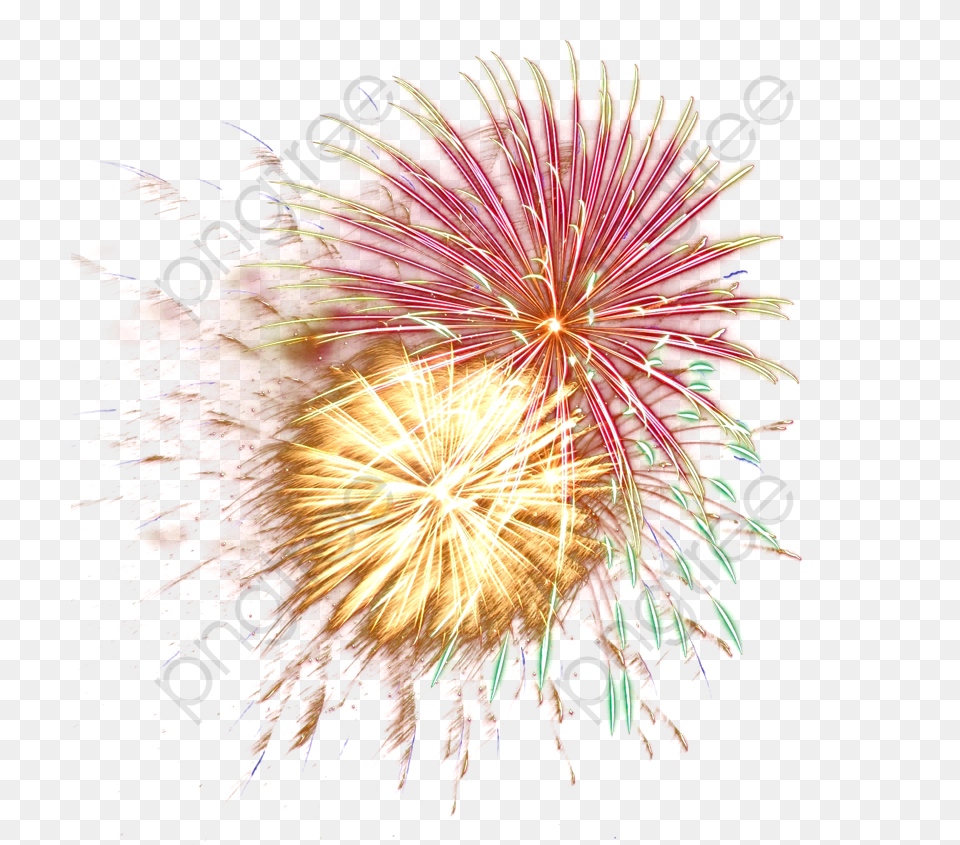 Fireworks Watercolor Color Clipart Firework Category Fireworks Gif White Background, Plant Free Transparent Png