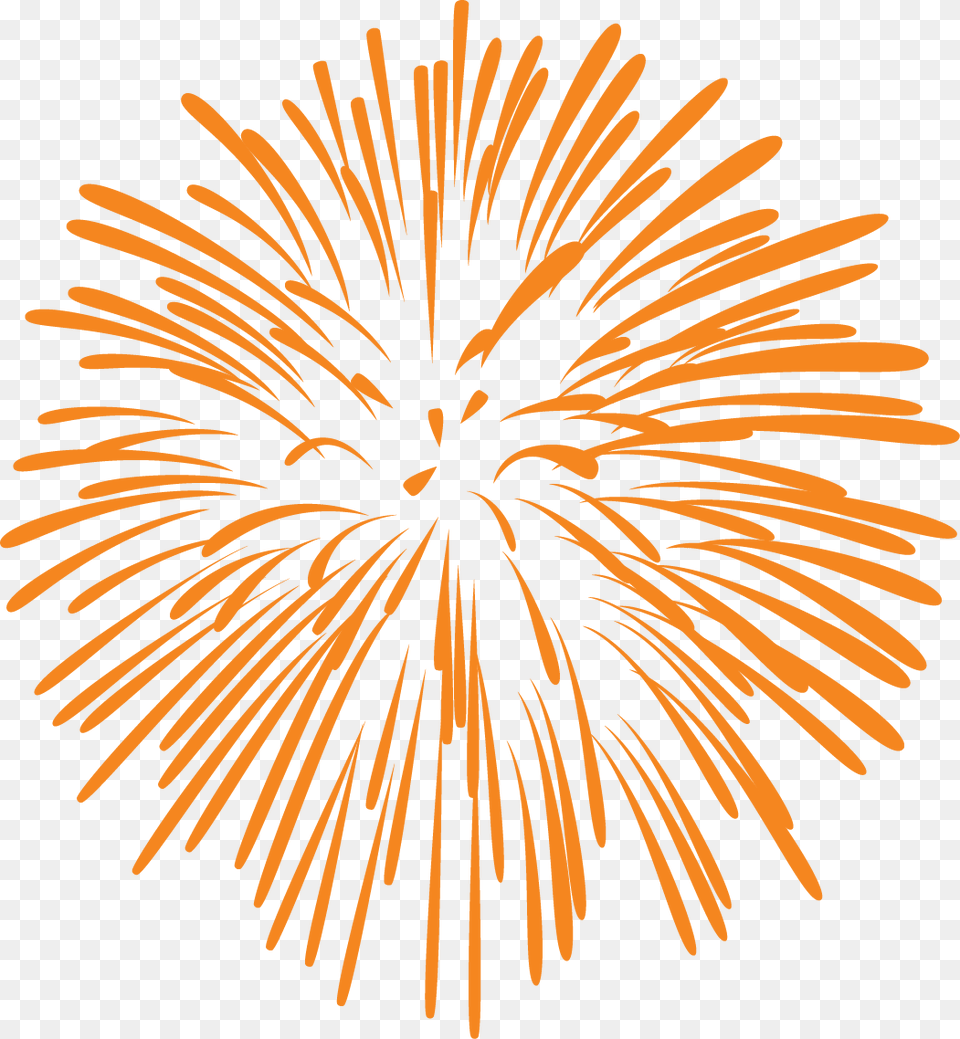 Fireworks With White Background, Plant Png Image