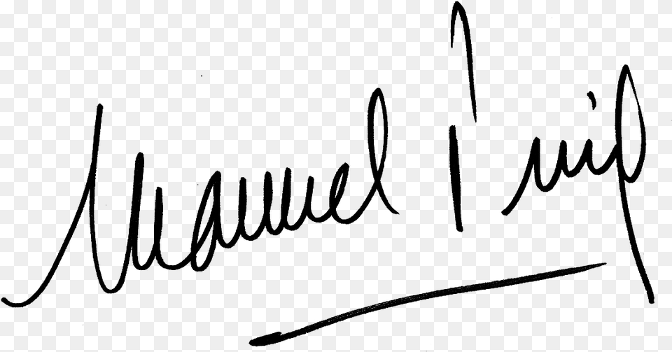 Firma Manuel Puig Firma Manuel, Gray Free Transparent Png