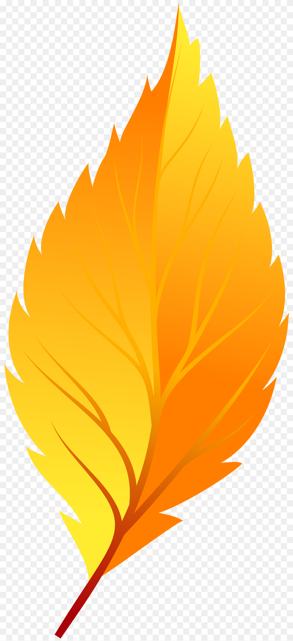 First Aid Clip Art, Fire, Flame, Leaf, Plant Png
