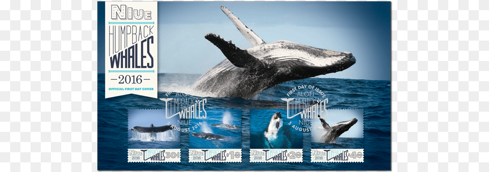 First Day Cover Humpback Whale, Animal, Mammal, Sea Life, Bird Free Png Download