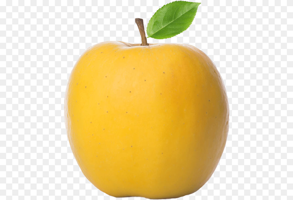 First Fruits Marketing Yellow Apple Transparent, Food, Fruit, Plant, Produce Free Png