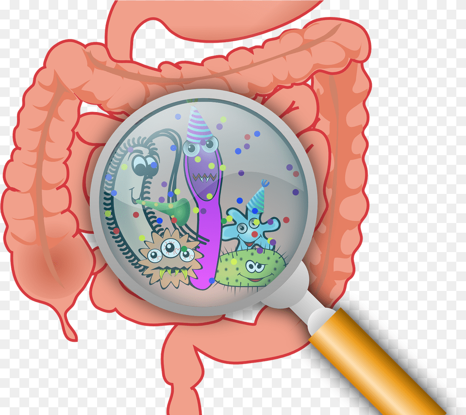 First Gut Bacteria May Have Lasting Effect On Ability Intestine Gut Microbiota, Baby, Person, Wristwatch Free Transparent Png