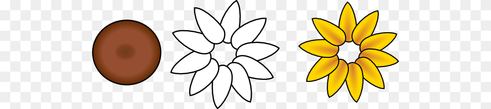 First Layer Flower Petals Clip Arts For Web, Daisy, Plant, Petal, Sunflower Free Transparent Png