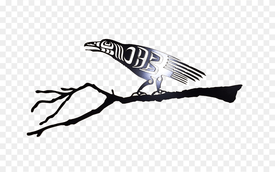 First Nations Raven Branch Raven First Nation Arts, Animal, Bird, Vulture, Stencil Free Png