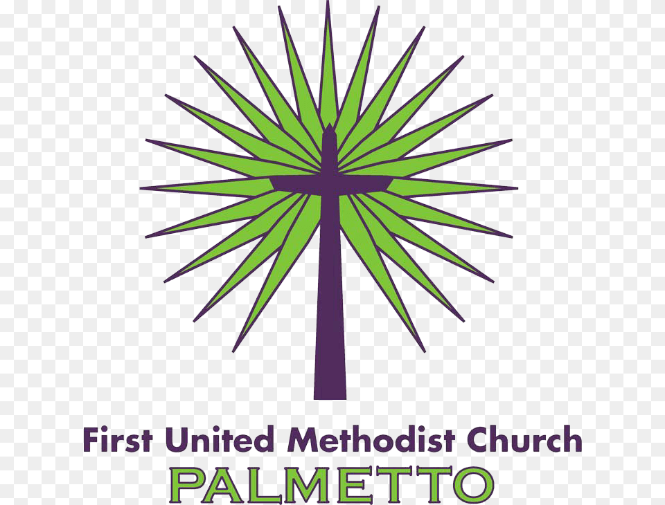 First United Methodist Church Of Palmetto Pnb Metlife, Leaf, Palm Tree, Plant, Tree Png