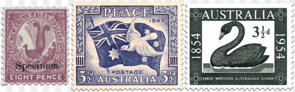 First Western Australian Stamp 1954 Value, Postage Stamp, Animal, Bird Png